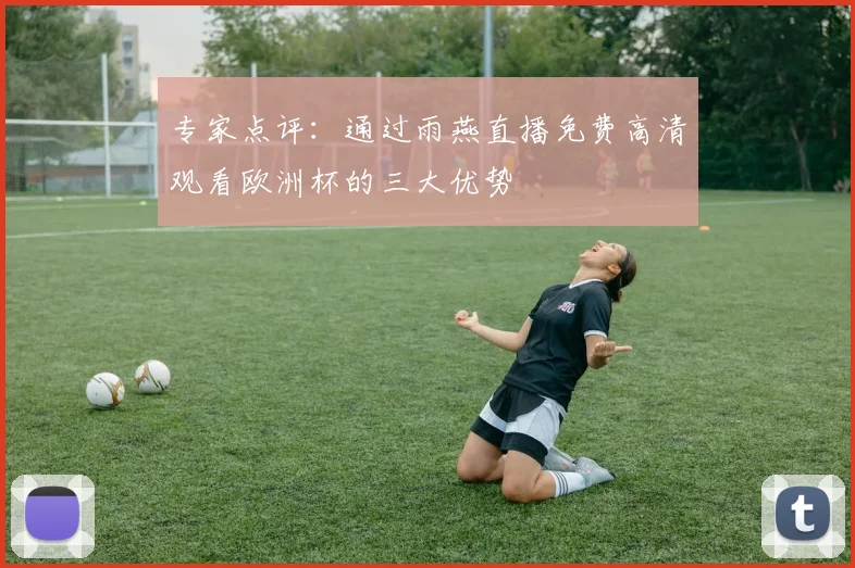 专家点评：通过雨燕直播免费高清观看欧洲杯的三大优势