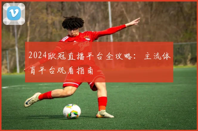 2024欧冠直播平台全攻略:主流体育平台观看指南