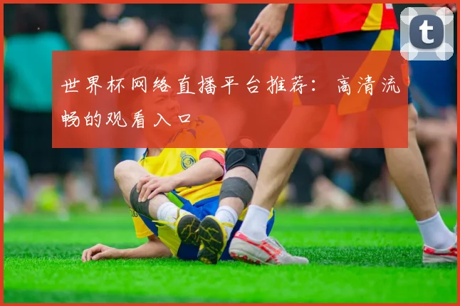 世界杯网络直播平台推荐：高清流畅的观看入口