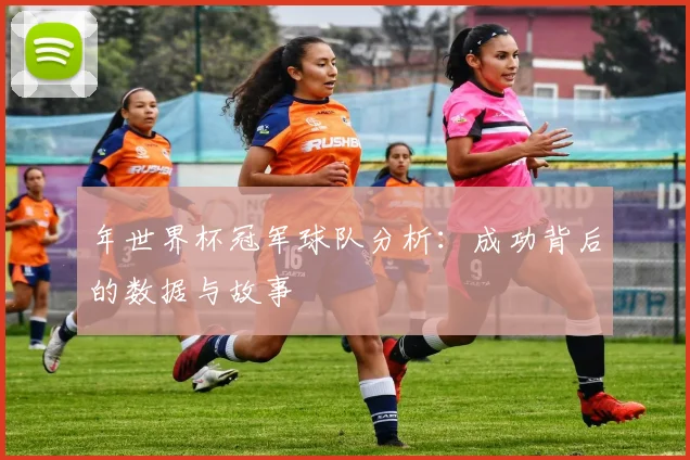 年世界杯冠军球队分析：成功背后的数据与故事