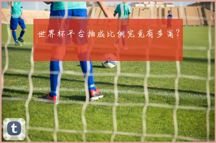 世界杯平台抽成比例究竟有多高？